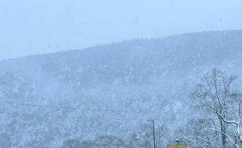 US ONE Driving School