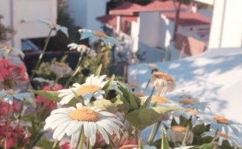 City A1 Driving School Inc