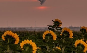 May Valley Driving School