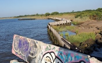 NY Driving Instructor