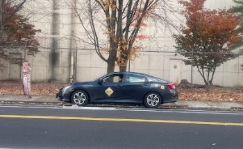 Curve Driving School