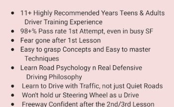Albert’s of Standard Driving School DMV Certified Driving Instructor