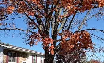 Skills Driving School