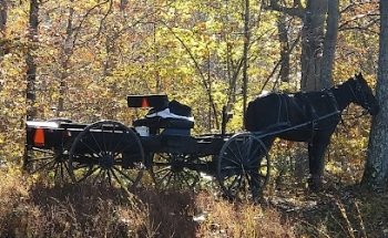 Domus Driving School