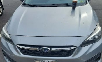 Raft driving school 梦之舟驾校