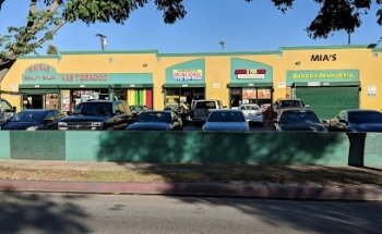 Gonzalez Driving School