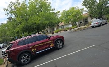 Stallion driving school