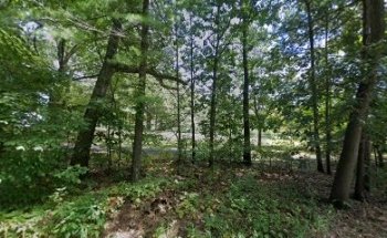 Training Wheels - Bedford