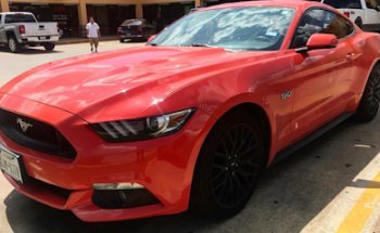 Cypress Creek Insurance & Notary Public