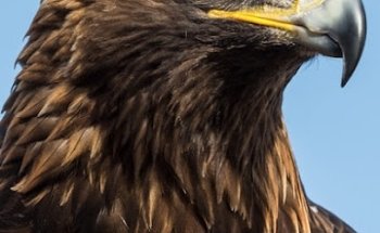 BAJWA DRIVING SCHOOL