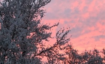 Curbside Driving School-Owner Melanie Bond