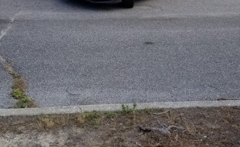 Reaves Driver Training