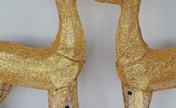 A+ Academy Driving School