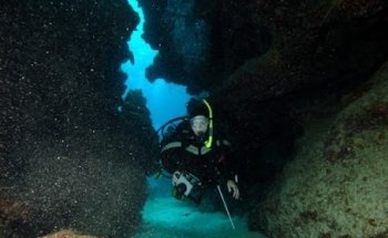 Do Dive In Scuba Center