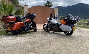 MSM Rider Driver Training