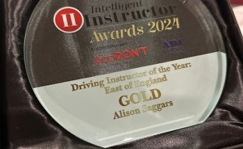 Alison Saggars-Approved Driving Instructor