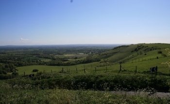 Streets Ahead Driving School