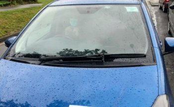 Shahed driving school