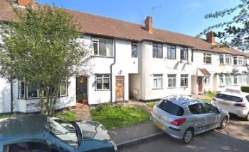 Steer Green Driving School