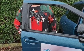 Lisa's Automatic Learners