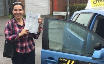 Herbie Driving School
