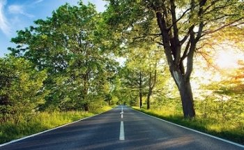 Oasis Driving School