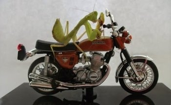Mantis Motorcycle Training