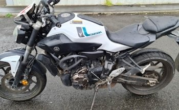 Pegasus Bike Training