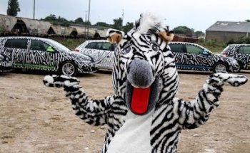 Driving School Dirk Embers