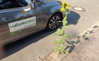 1A Fahrschule - LKW-, Motorrad Führerschein und mehr