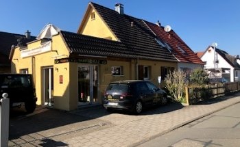 Yogi's Driving School