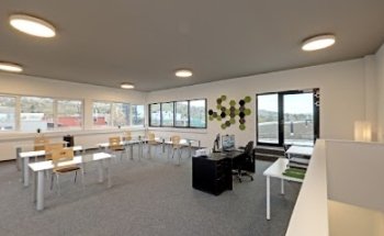 Die BSD UG haftungsbeschränkt