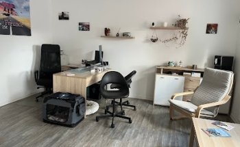 Fahrschule Team Langner