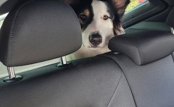 Fahrschule - Bock auf Fahren Inh. Markus Haase