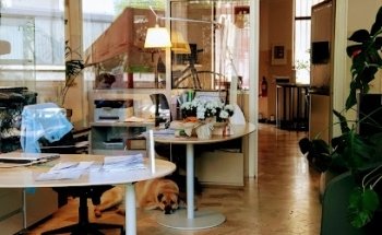 Autoscuola & Scuola Nautica Buonarroti