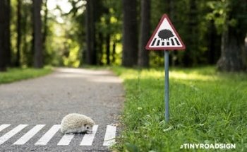 Autoscuola Vittorio Veneto