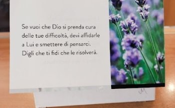 Autoscuola Scalise Di Massimo E Antonella S.n.c.