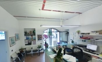 Autoscuola Easy Driver gruppo Catelli