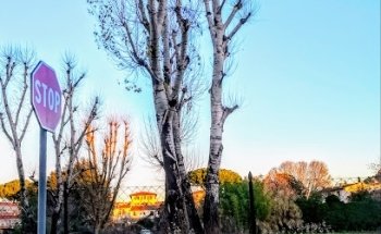 Agenzia Autoscuola Casma