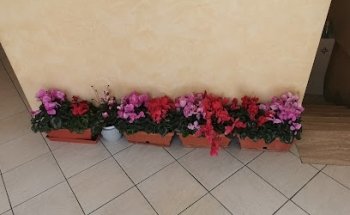 Autoscuole Gatti & Venturini