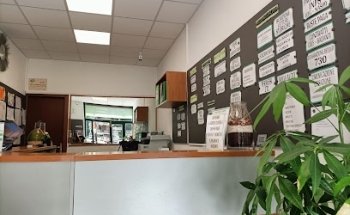 Lante srl - Agenzia di servizi