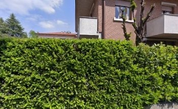 Autoscuola Italia Snc