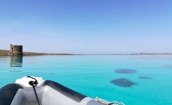 Easy Driver di Multi Consulting Di Salvatore Senette & C. Sas