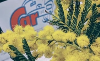 Scuola Guida CAR Porto Sant'Elpidio - Autoscuola - Pratiche Auto - Assicurazioni - ACI point