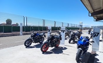 Riding School Di Luca Pedersoli