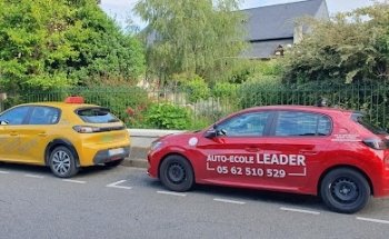 Driving School Leader