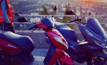 Driving School Araucaria