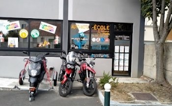 Majesty Driving Handi Caméléon