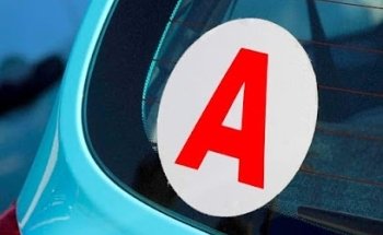 Driving School Stop Conduite