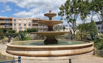 Driving School Sport